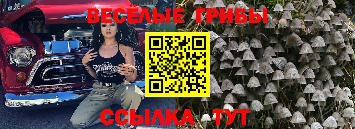 Псилоцибиновые грибы мицелий  Вход с VPN  Заволжье 