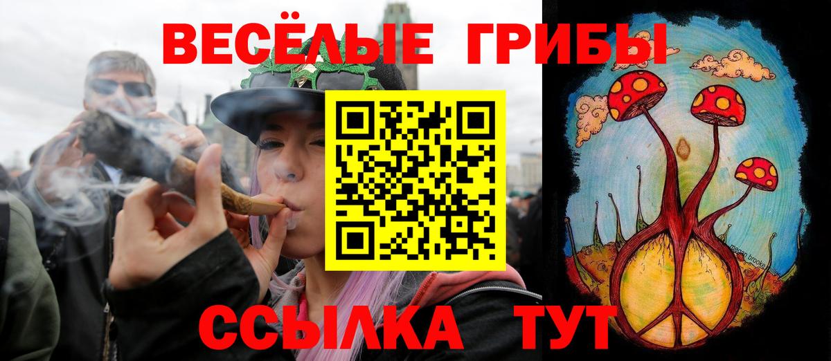 Псилоцибиновые грибы прущие грибы Заволжье
